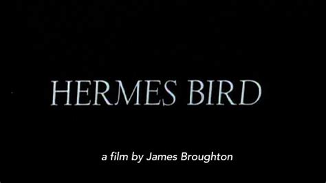 hermes bird 1979 watch online|‎Hermes Bird (1979) directed by James Broughton .